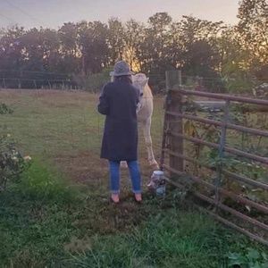 Meet your Posher, Rebecca